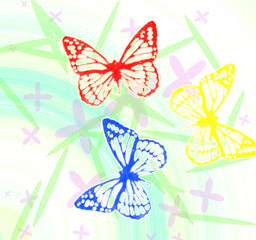 Image showing Butterfly's