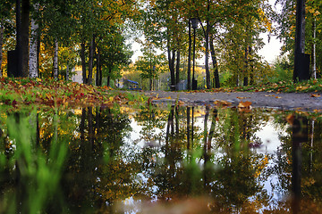 Image showing Maple leaves and reflections in puddles in autumn park