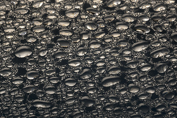 Image showing Macro water drops background