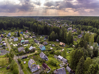 Image showing Village in pine forest aerial view