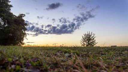 Image showing Evening meadow landscape at golden hour