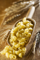 Image showing pasta