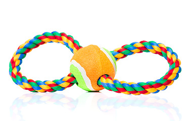 Image showing Dog toy on white