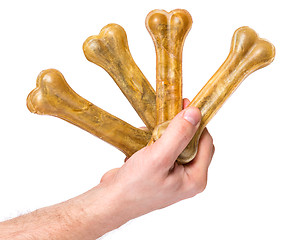 Image showing Hand with dog bone