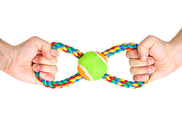 Image showing Hand with dog toy