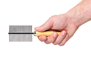 Image showing Hand with dogs grooming brush