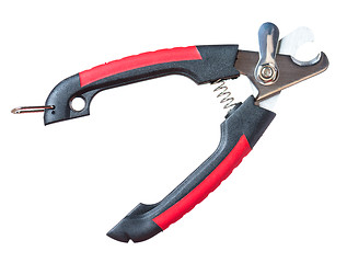 Image showing Scissors for claws on white