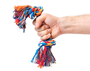 Image showing Hand with dog toy