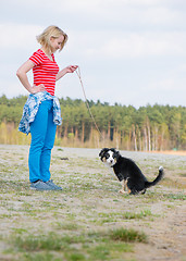 Image showing Australian shepherd puppy