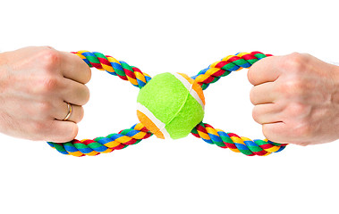 Image showing Hand with dog toy