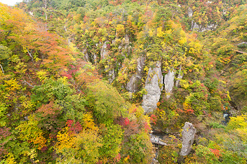 Image showing Naruko canyon in Japan at autumn