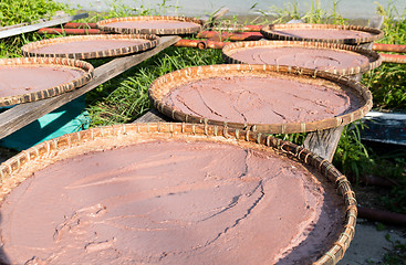 Image showing Shrimp paste in basket at Tai O village