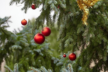 Image showing Christmas Tree Decoration