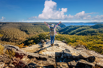 Image showing Bushwalking through Leura