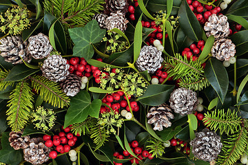 Image showing Natural Winter Flora Background