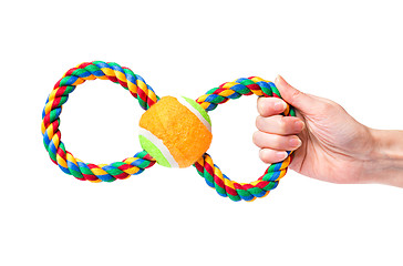 Image showing Hand with dog toy