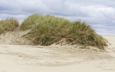 Image showing Sandy desert. 