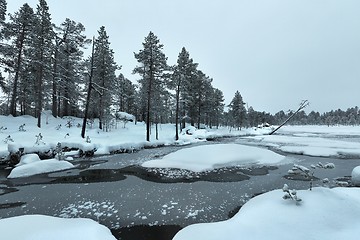 Image showing Winter Snowy Landscape