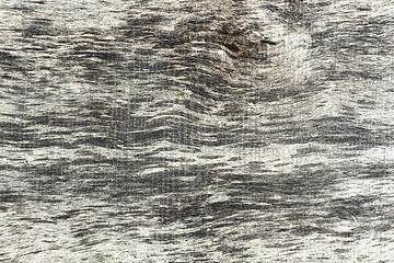 Image showing elm wooden texture