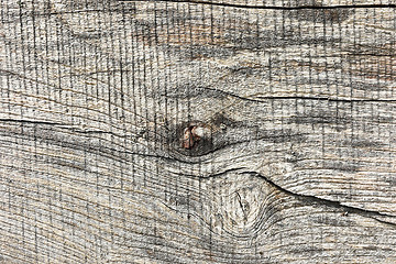 Image showing elm wood plank surface