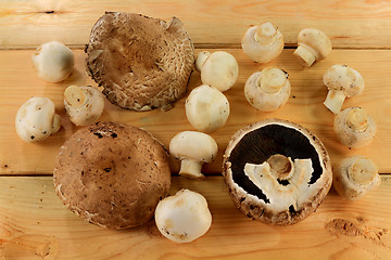 Image showing In Farm assorted mushrooms over wooden table 