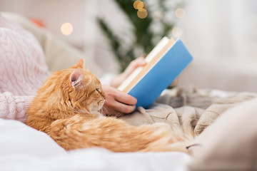 Image showing red cat and female owner reading book at home