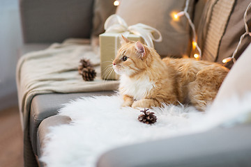 Image showing red tabby cat on sofa with christmas gift at home