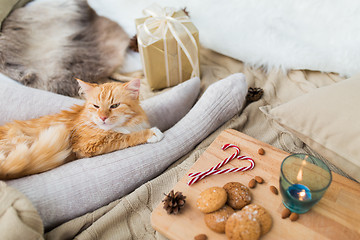 Image showing red cat lying on owner feet in bed at christmas