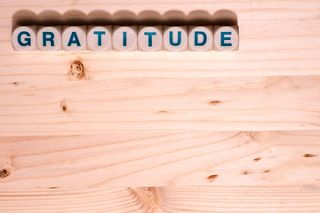 Image showing Gratitude word template