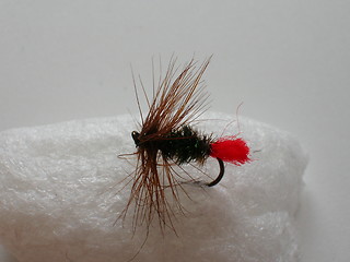 Image showing Flyfishing