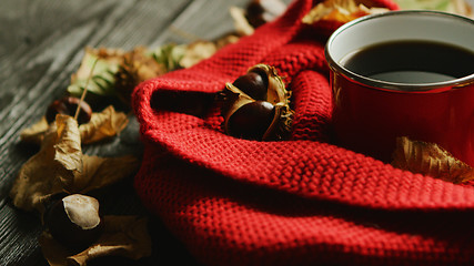 Image showing Leaves and nuts near scarf and hot beverage