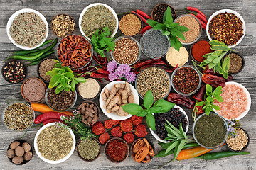 Image showing Herb and Spice Seasoning