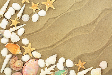 Image showing Seashells on Sandy Beach