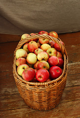 Image showing Bright tasty ripe apples in a basket