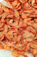 Image showing Fresh shrimp closeup on the market