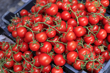 Image showing Red cherry tomatoes at the market