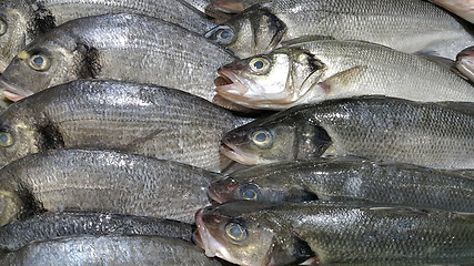 Image showing Fresh fish on ice for sale in market