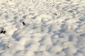 Image showing snow drifts, close-up