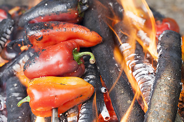 Image showing preparing to fire pepper