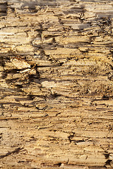 Image showing old wooden surface