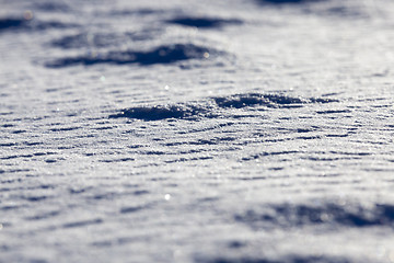 Image showing land covered with snow