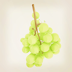 Image showing Healthy fruits Green wine grapes isolated white background. Bunc