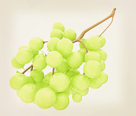 Image showing Healthy fruits Green wine grapes isolated white background. Bunc