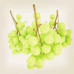 Image showing Healthy fruits Green wine grapes isolated white background. Bunc