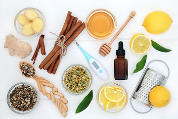 Image showing Natural Ingredients for Cold and Flu Remedy