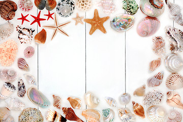 Image showing Seashell Background Border