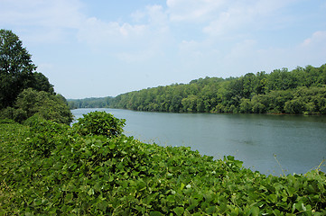 Image showing Catawba River view