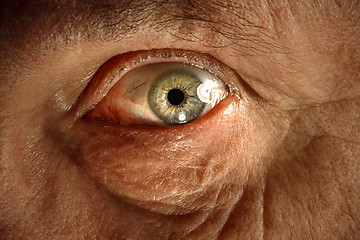 Image showing Close-up view on the eye of senior man.