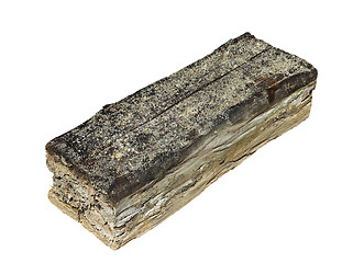 Image showing isolated piece of wood decayed by fungus