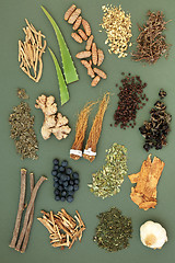 Image showing Adaptogen Food Selection